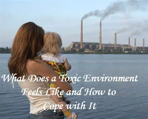 what-does-a-toxic-environment-feels-like-and-how-to-cope-with-it_By_praise-ejiro_On_2023-01-25_tech_hinte_blogpost_image.webp